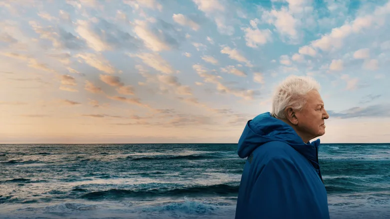 Xem phim Đại dương cùng David Attenborough - Motchill