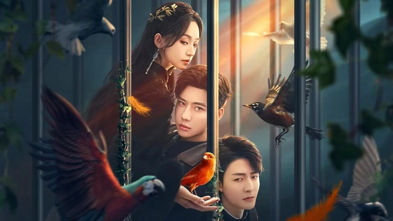Xem phim Chim Sẻ Trong Lòng Bàn Tay - Motchill