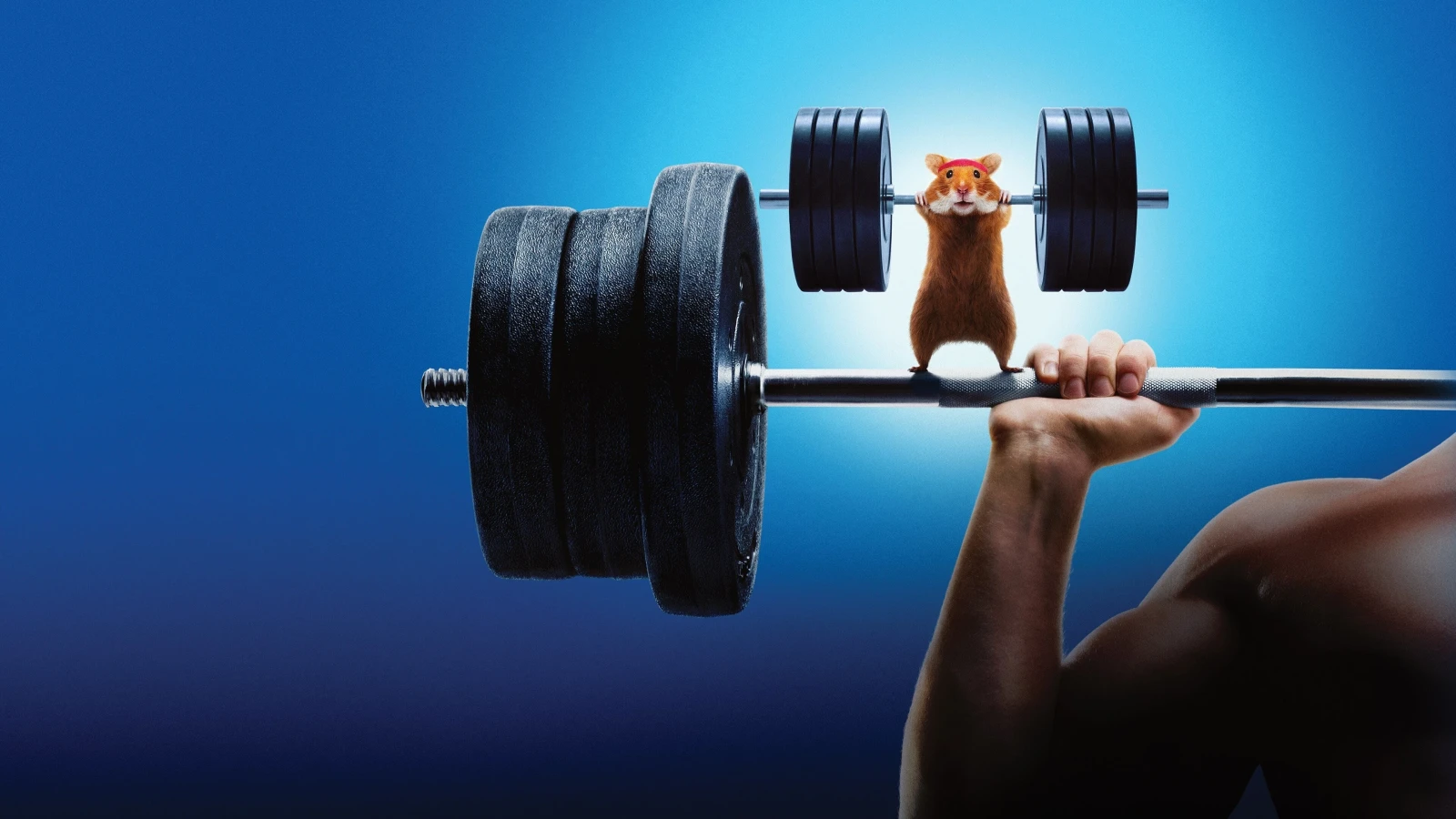 Xem phim Con Người Đấu Với Hamster - Motchill