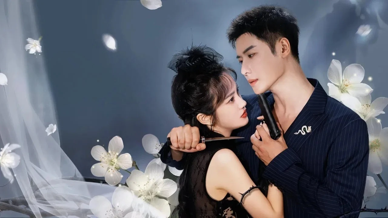 Xem phim Nhất Thụ Lê Hoa, Nhất Khinh Châu - Motchill
