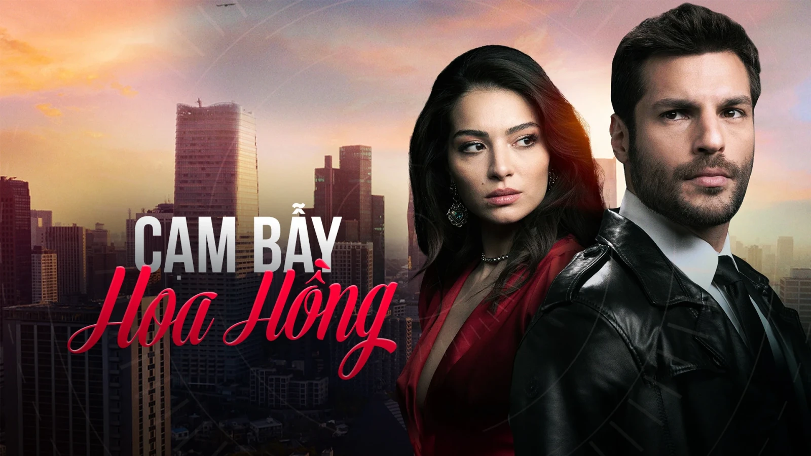 Xem phim Cạm Bẫy Hoa Hồng - Motchill
