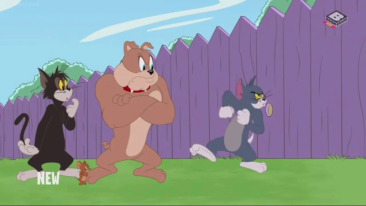 Xem phim The Tom And Jerry Show (Phần 3) - Motchill