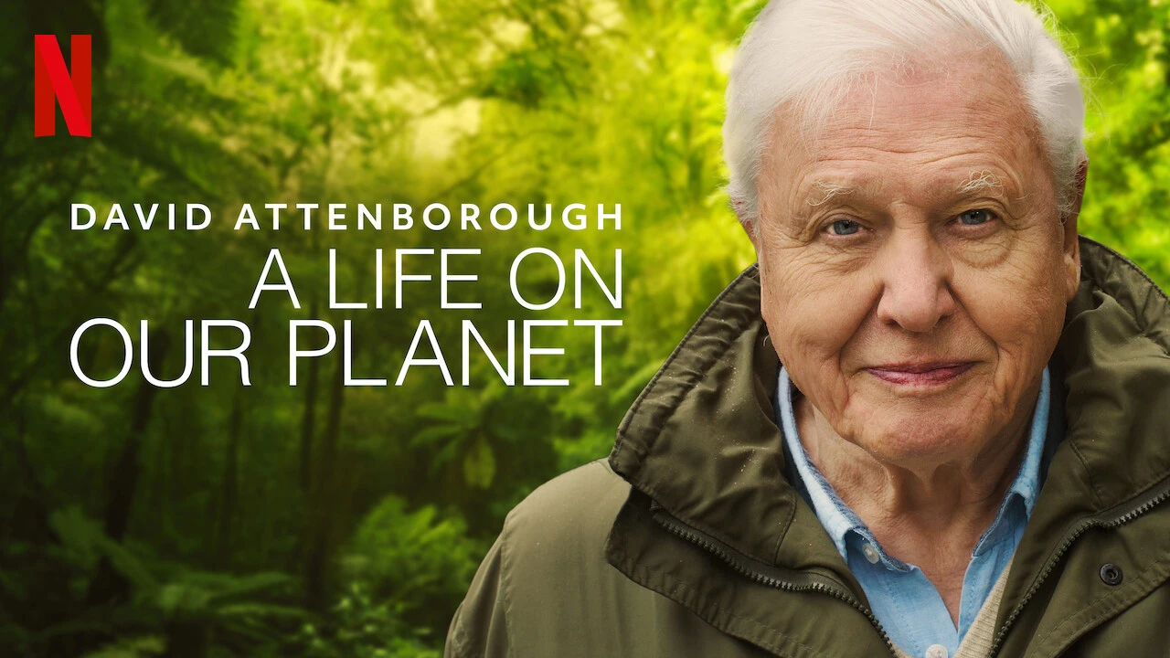 Xem phim David Attenborough: Một Cuộc Đời Trên Trái Đất - Motchill