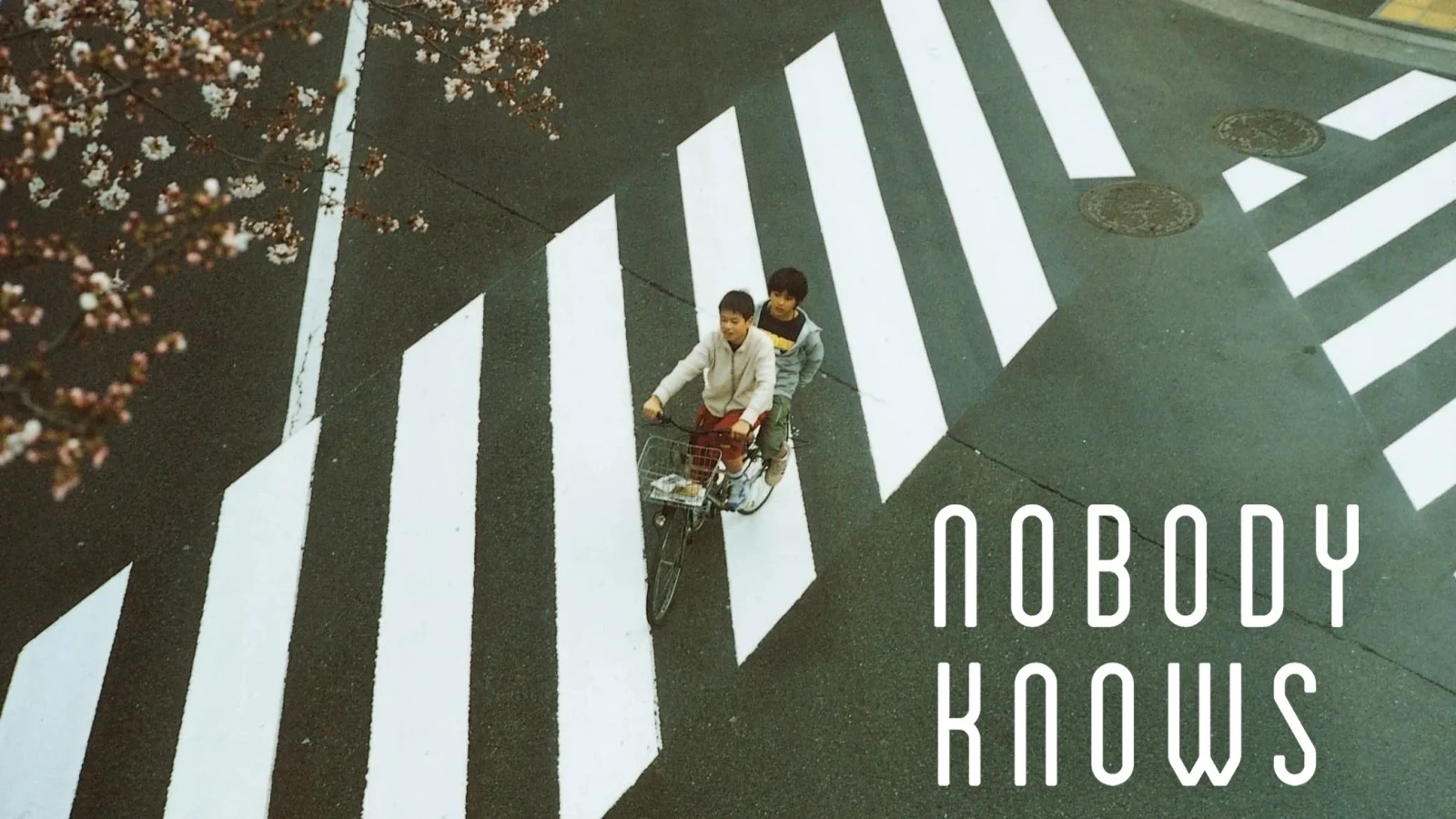 Xem phim Không Ai Biết - Motchill