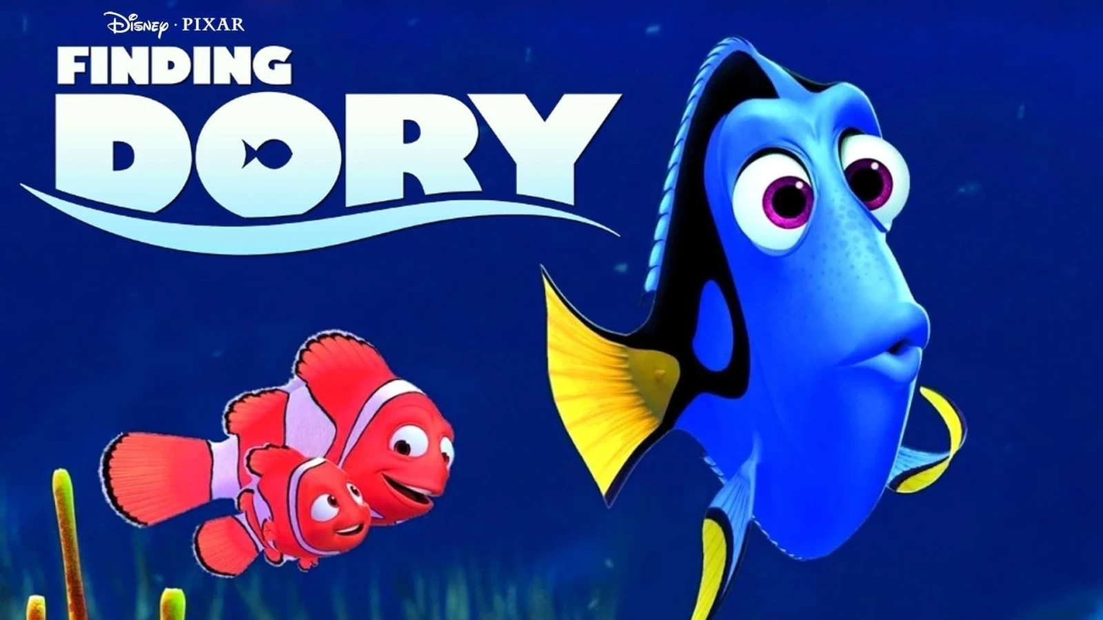 Xem phim Đi Tìm Dory - Motchill