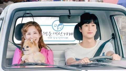 Xem phim Người Tình Của Jinx - Motchill