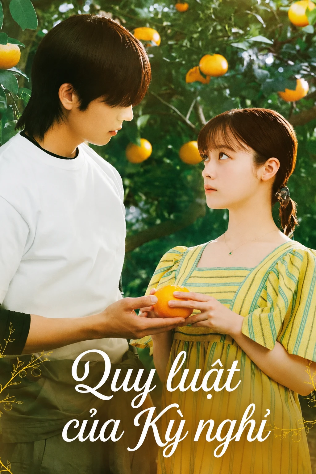 Quy luật của Kỳ nghỉ