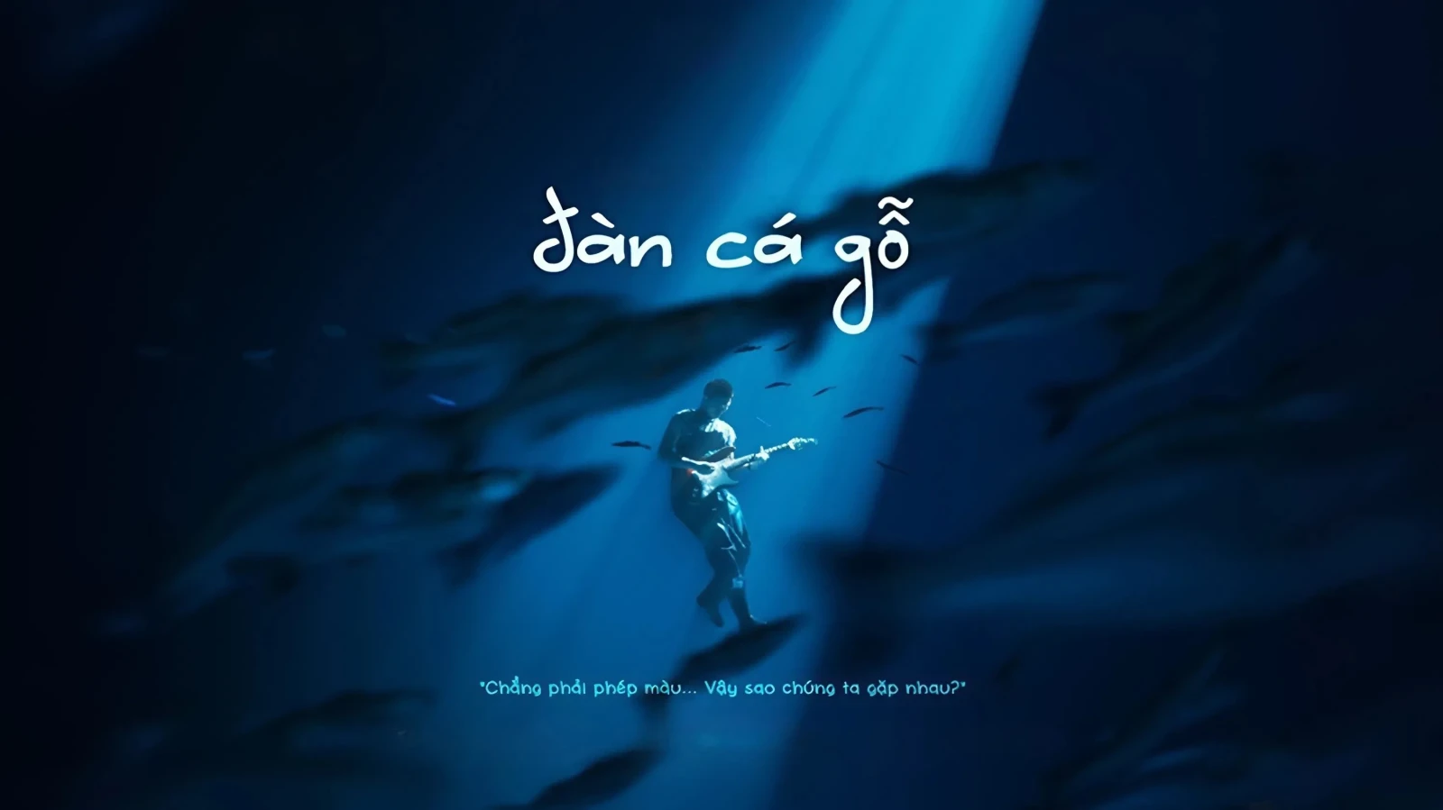 Xem phim Đàn Cá Gỗ - Motchill