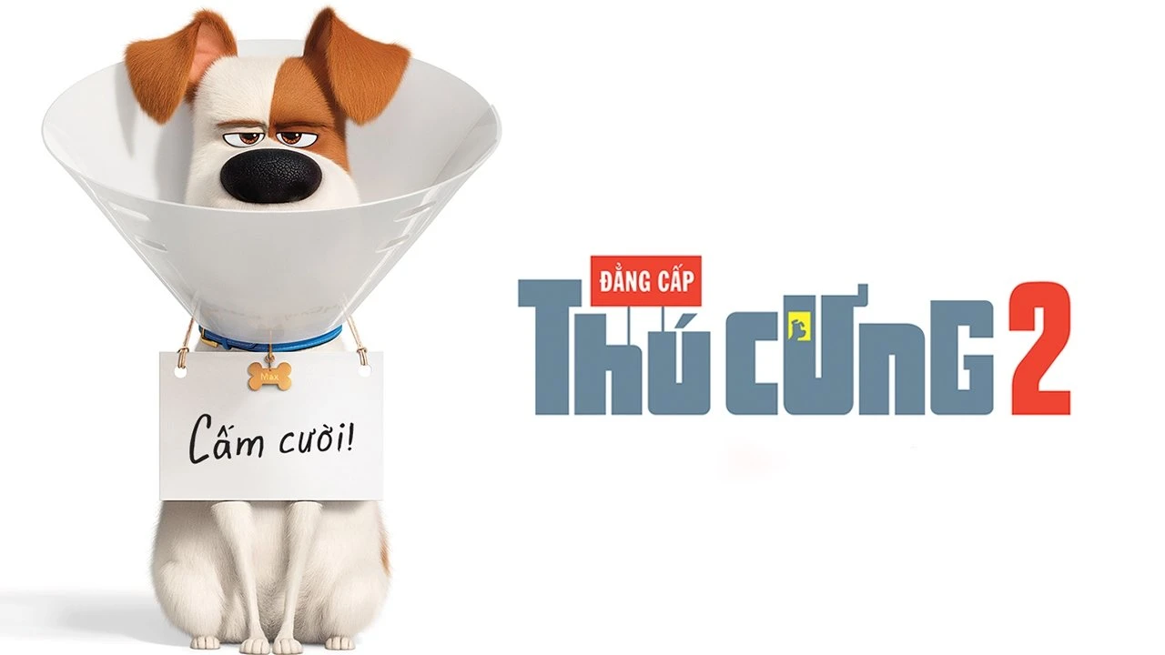 Xem phim Đẳng Cấp Thú Cưng 2 - Motchill
