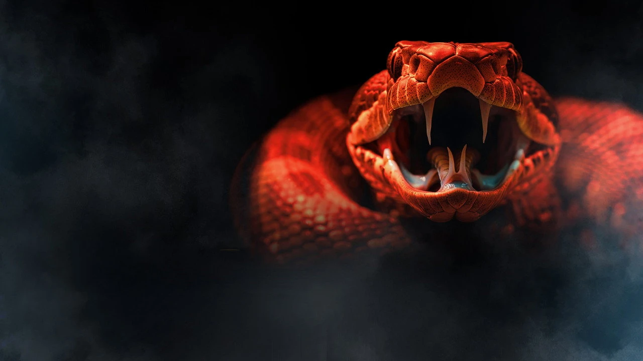 Xem phim One Big Snake - Motchill
