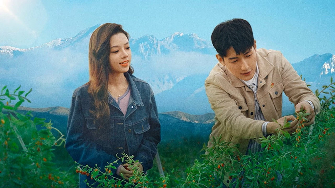 Xem phim Tình Yêu Ở Bortala - Motchill