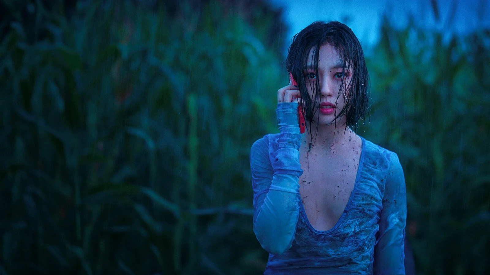 Xem phim Rừng Không Tiếng - Motchill