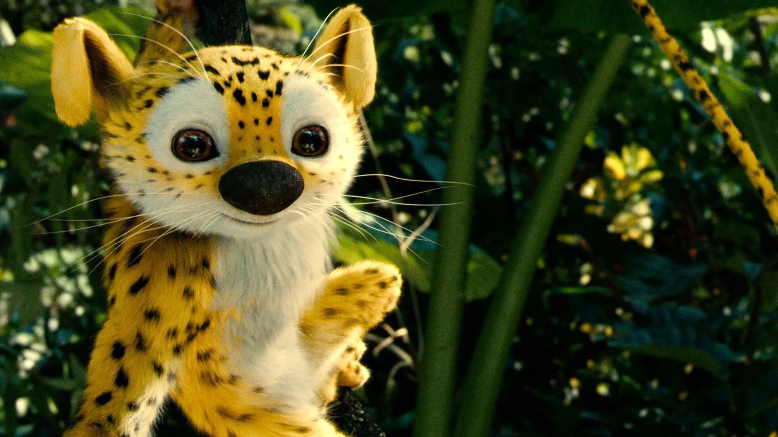 Xem phim Theo dấu Marsupilami - Motchill