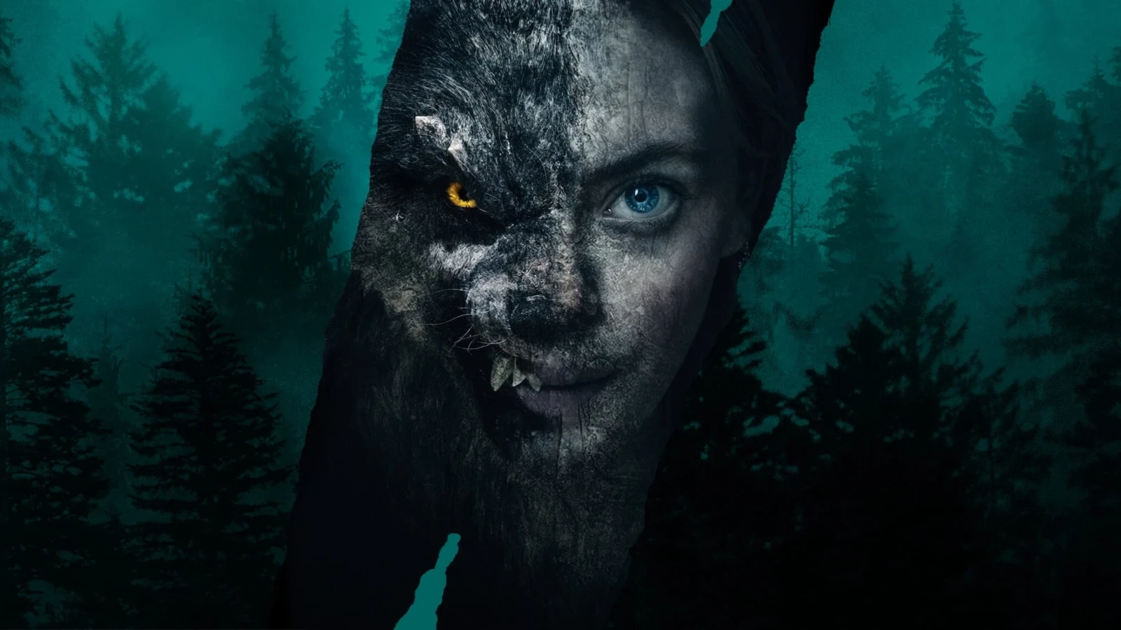 Xem phim Sói Viking - Motchill