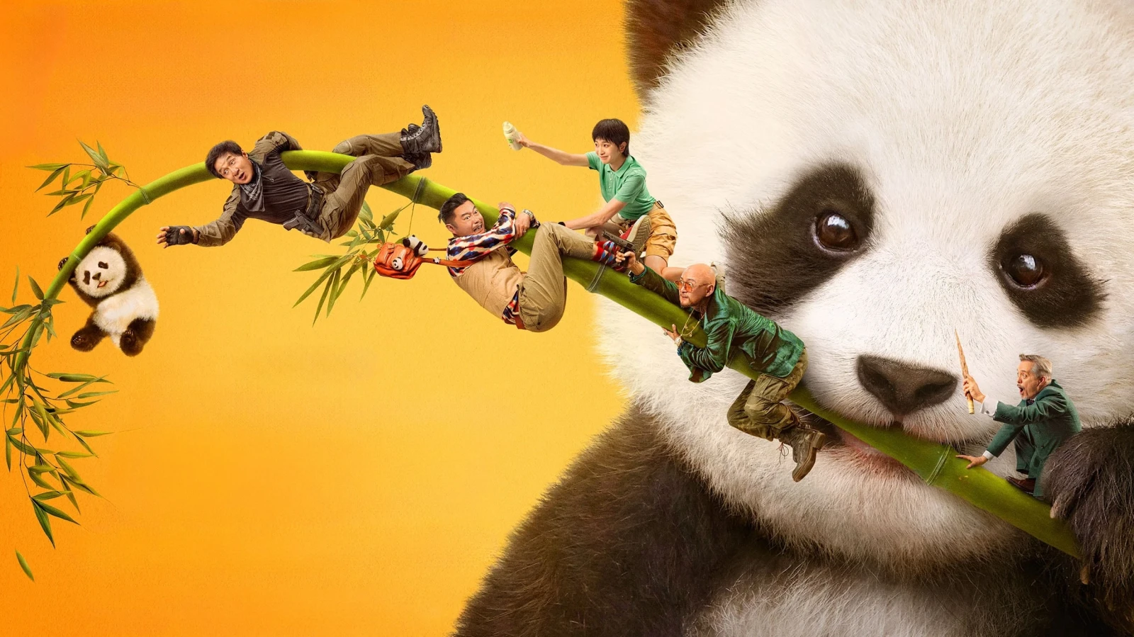 Xem phim Kế Hoạch Panda - Motchill