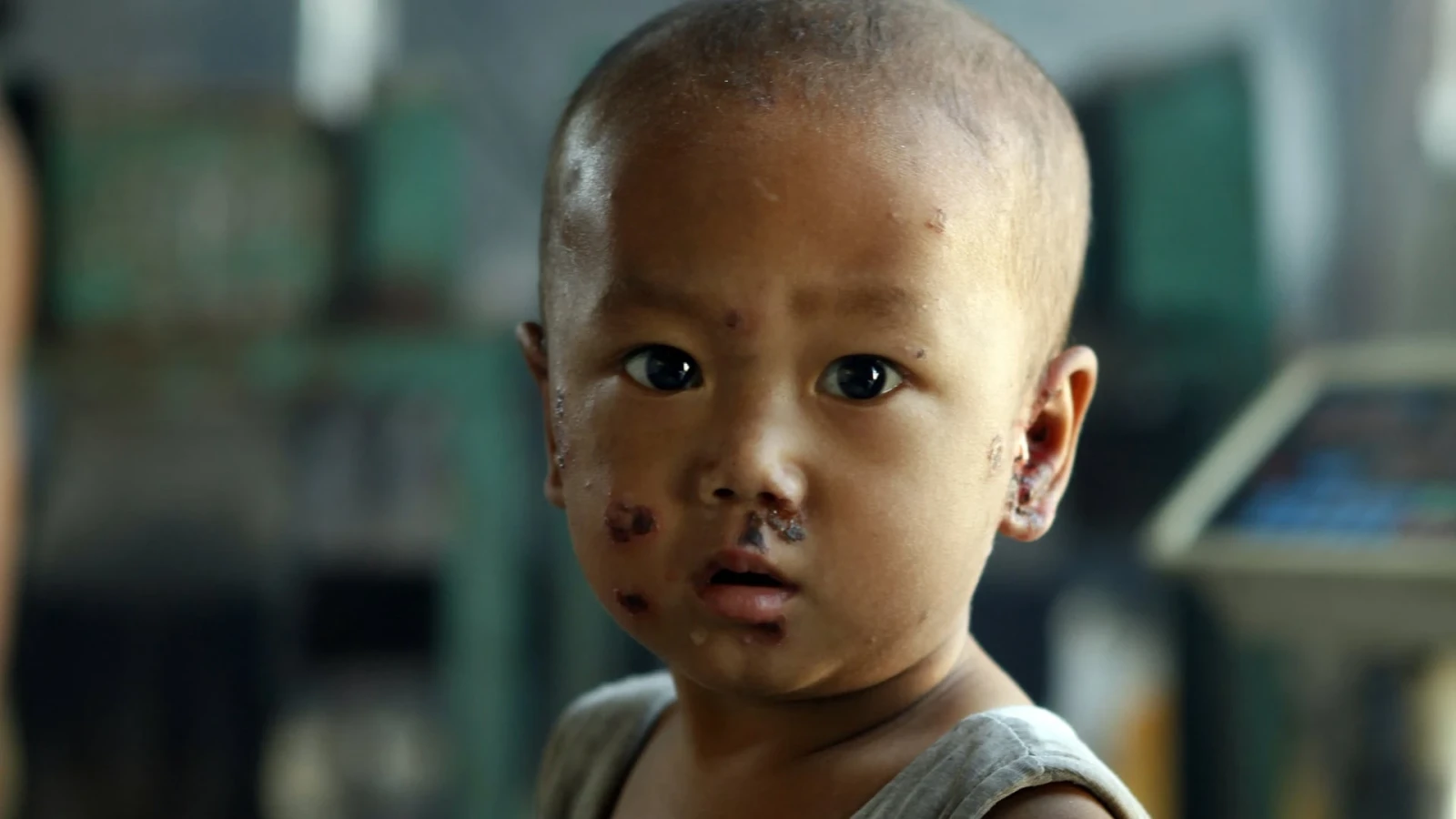 Xem phim Vương Quốc Nhựa - Motchill