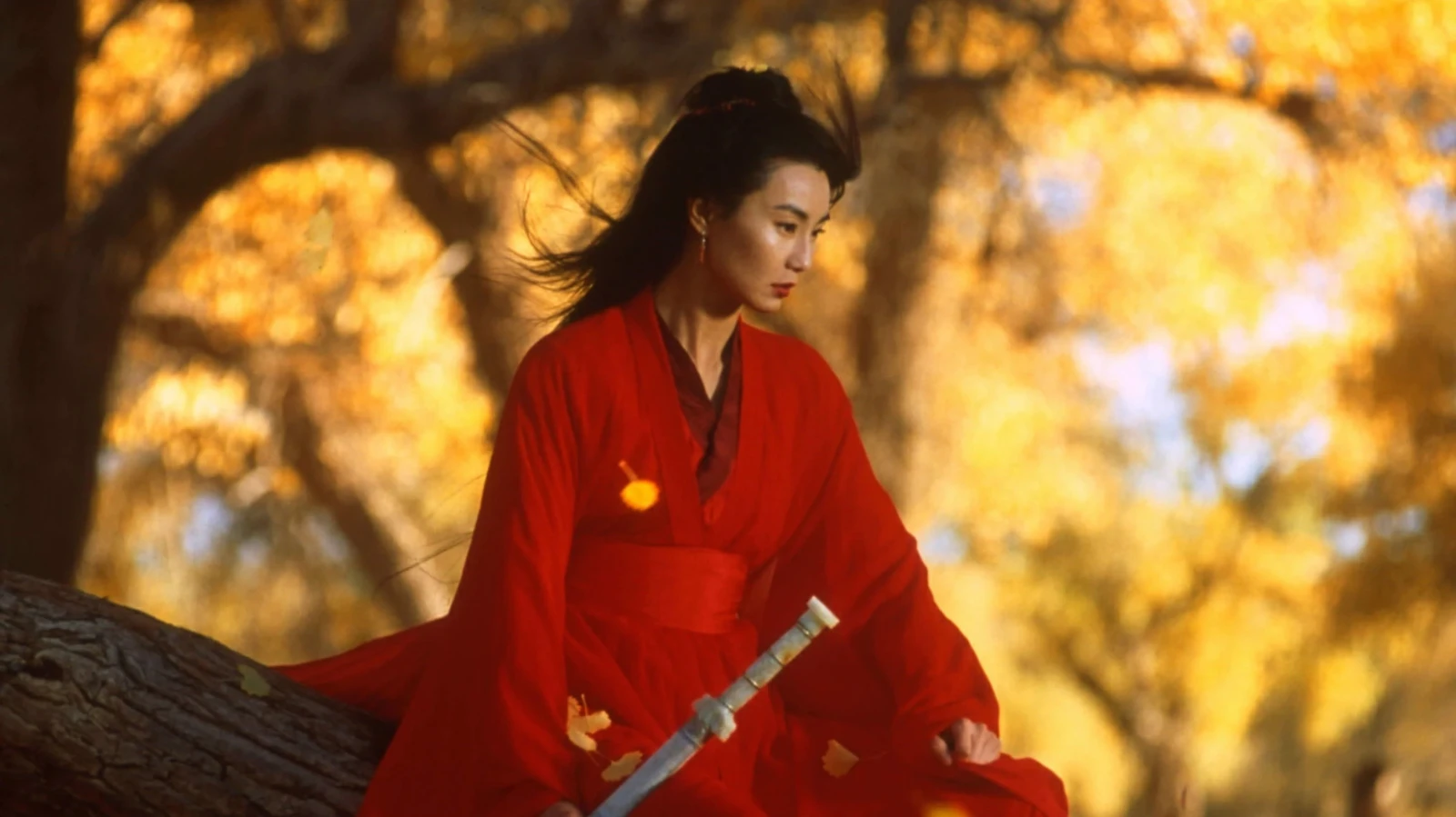 Xem phim Anh Hùng - Motchill